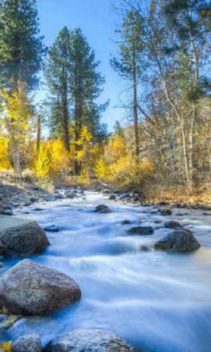 Sierra-de-San-Pedro-Martir-rio