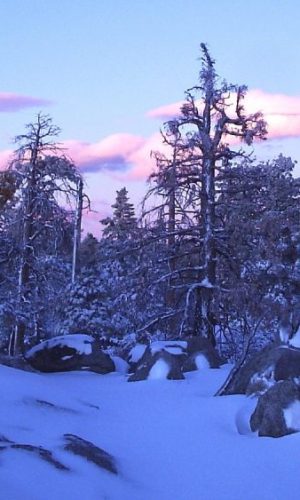 Nieve san pedro mártir